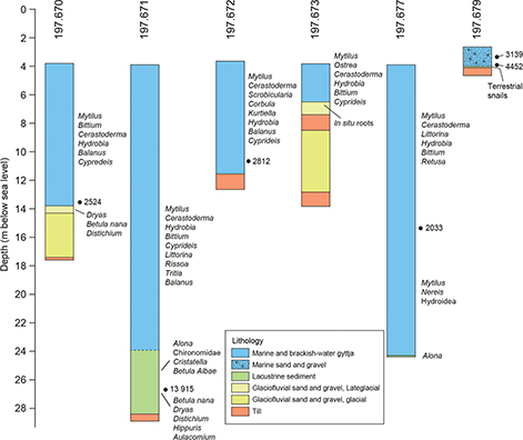Click to Enlarge View Fig 2