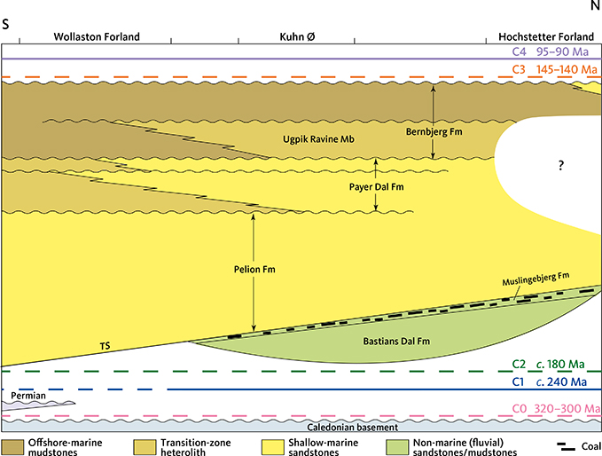 Fig. 19 Jurassic stratigraphy in the Wollaston Forland area along a N–S profile and timing of the pre-Cenozoic cooling episodes estimated from AFTA (Table 1). The erosional unconformity at the base of the Jurassic is caused by Early Jurassic doming and regional uplift of northern East Greenland (Surlyk 1978a, 2003). Earlier events may have contributed to the pre-Jurassic denudation, e.g. during the Middle Triassic. The Middle Triassic C1 episode dominates the AFTA data to such a degree that the Early Jurassic C2 episode cannot be resolved along the profile. Maximum palaeotemperatures (and burial) of the Mesozoic sediments occurred prior to regional uplift and erosion during the mid-Cretaceous C4 episode. Samples from Wollaston Forland cooled below 100°C in the C4 episode, so no earlier events can be resolved from this area. Solid line: Cooling episode resolved along the transect. Dashed line: Cooling episode not resolved along the transect. TS: Transgressive surface. Modified after Surlyk (2003).