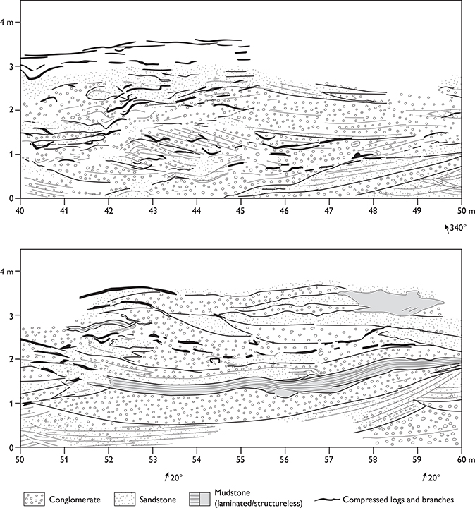 Fig. 5 Lateral profile of the type section of the Innakajik Formation, part of a 200 m long measured profile along the coastal cliff at Kap Stewart (Innakajik), Jameson Land (Figs 1, 2a).