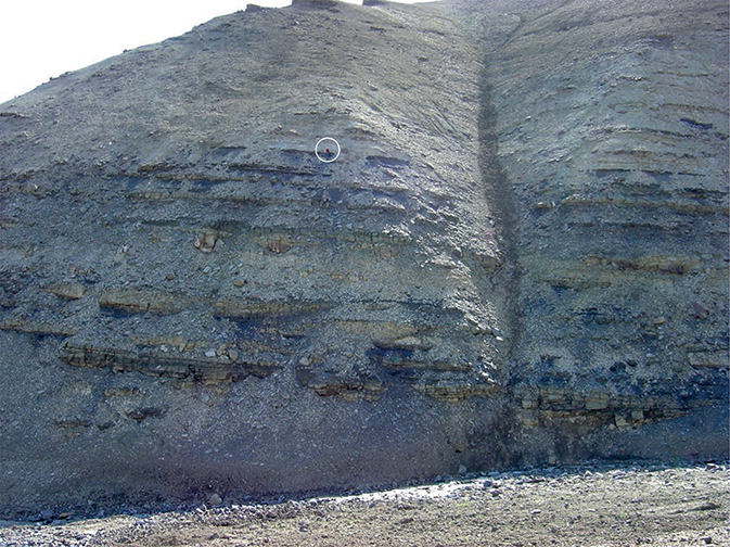 Fig. 8 The Primulaelv Formation at Astartekløft, southern Jameson Land (Figs 1, 2a). The lower part shows alternating, sandstones and dark mudstones deposited in meandering rivers and backswamps. This is overlain by coarse-grained pebbly sandstones and the boundary corresponds to the boundary between the Rhaetian Lepidopteris zone and the Lower Jurassic Thaumatopteris zone. Person at boundary for scale (encircled).