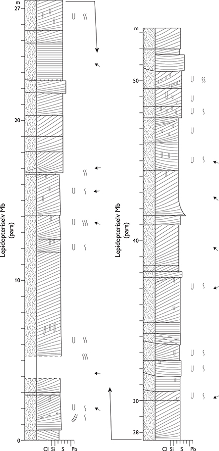 Fig. 19 Type section of the Lepidopteris Elv Member, Lepidopteriselv, Jameson Land (Figs 1, 2a). From Dam & Surlyk (1998, fig. 30). For legend, see Fig. 7.