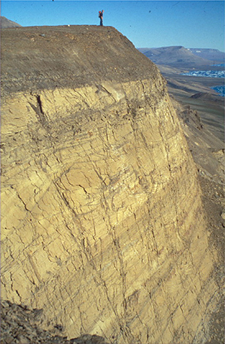 Fig. 25 Boundary between large-scale cross-bedded sandstones of the Trefjord Bjerg Member and dark mudstones of the Sortehat Formation. Person for scale. Immediately north of Astartekløft, Neill Klinter, south-east Jameson Land (Figs 1, 2a).
