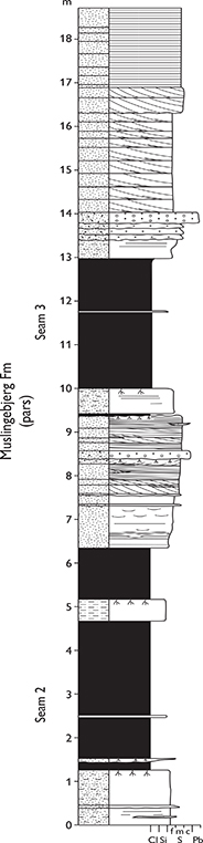 Fig. 32 Type section of the Muslingebjerg Formation, southern Hochstetter Forland (Figs 1, 2e). From Petersen et al. (1998, fig. 2). For legend, see Fig. 7.