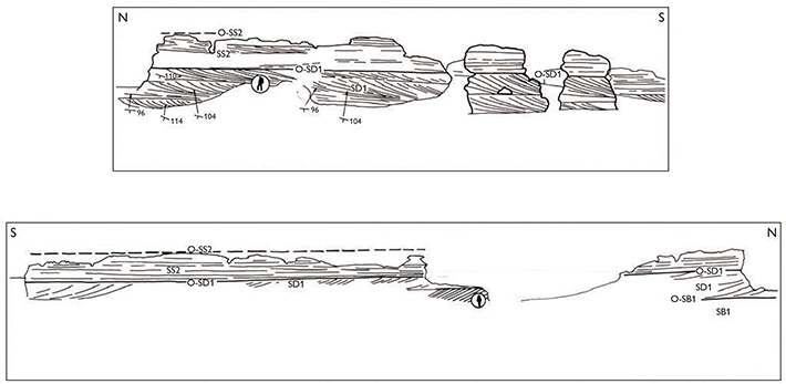 Fig. 62 Line drawings from field photographs of the Prasino Member, showing the large-scale cross-bedded lower part of the Prasino Member (SD1) overlain by low-angle trough cross-bedded and strongly burrowed bed (SS2), Raukelv Formation (see Fig. 56). Plateau east of the western branch of the Fynselv river, southern Jameson Land (Figs 1, 2a). The upper transect is modified after Surlyk & Noe-Nygaard (1991, fig 13).