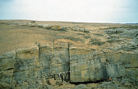 Fig. 72 Photograph of the high-angle clinoform-bedded Rauk Plateau Member. Note the internal truncation surface downlapped by younger clinoforms (arrowed). Immediately north of the type section, Rauk Plateau, southern Jameson Land (Figs 1, 2a); person (lower right) for scale.