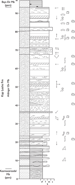 Fig. 82 Type section of the Aldinger Elv Member (Kap Leslie Formation). Milne Land (Figs 1, 2b). Schematic composite section. Modified from Fürsich & Heinberg (1983, Fig. 3). For legend, see Fig. 7.