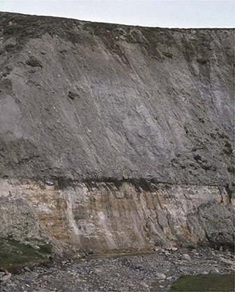 Fig. 83 Yellow sandstones of the uppermost Aldinger Elv Member (c. 6 m exposed), sharply overlain by black mudstones of the Bays Elv Member (both Kap Leslie Formation). Hartz Fjeld, Milne Land (Figs 1, 2b).