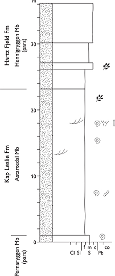 Fig. 89 Type section of the Astartedal Member (Kap Leslie Formation) in the Krebsedal valley, Milne Land (Figs 1, 2b). Modified from Birkelund et al. (1984, fig. 10). For legend, see Fig. 7.