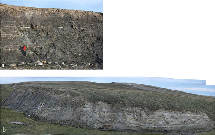Fig. 94 Type section of the Laugeites Ravine Member (Lindemans Bugt Formation), Laugeites Ravine, Kuhn Ø (Figs 1, 2e). The upper part of the member is shown in (a), the middle part in (b), In both exposures, the exposed section is about 10 m thick.