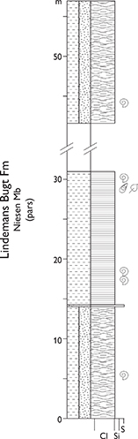 Fig. 98 Type section of the Niesen Member (Lindemans Bugt Formation), Niesen, Wollaston Forland (Figs 1, 2e). From Surlyk (1978a, section 203). For legend, see Fig. 7.