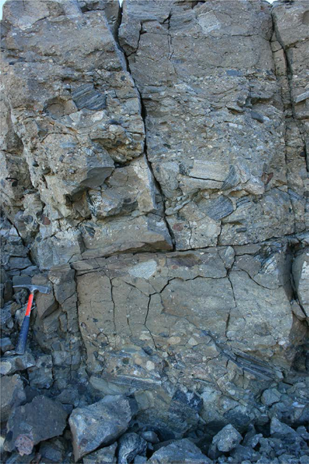 Fig. 107 Midter Gneisnæs Member at the type section, showing stacked conglomerate – pebbly sandstone beds. Trækpasset, Store Koldewey (Figs 1, 2d).