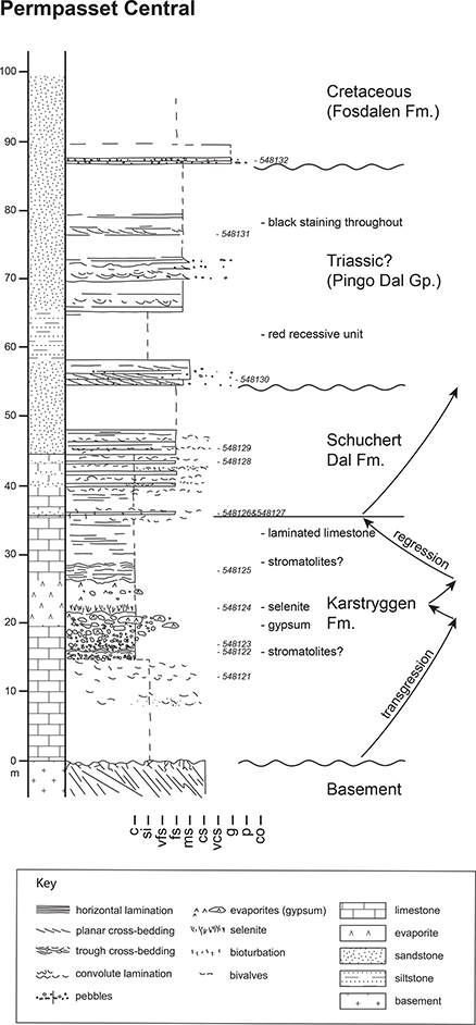 Fig 3 Logged section from the central outcrops of the Permpasset exposures. The location of the section is indicated in Fig. 2A. Sample numbers are included adjacent to the log.