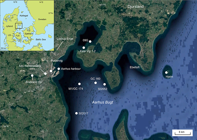 Fig 1. Map of the Aarhus Bugt area, showing localities with radiocarbon-dated samples. LF: Limfjorden; LB: Lille Bælt (inset map).
