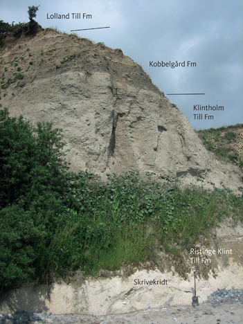 Fig. 11 Gråt moræneler tilhørende Klintholm Till Formationen i klinten ved Kraneled, Klintholm. I profilet ses desuden aflejringer af skrivekridt og Ristinge Klint Till, Kobbelgård og Lolland Till Formationerne.<br/> Fig. 11. Grey clayey till of the Klintholm Till Formation at Kraneled cliff, Klintholm. The section also contains deposits of chalk as well as deposits of the Ristinge Klint Till, Kobbelgård and Lolland Till Formations.