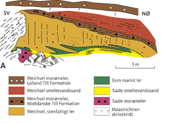 Fig. 7 Eem-aflejringer ved Hjelm Nakke. A: Feltskitse af Saale-, Eem-og Weichsel-lagene ved Hjelm Bugt fra Berthelsen et al. (1977). B: Smeltevandsler og -sand (af Saale-alder?) overlejret af marint Eem-ler. Foto: Tove Stockmarr (1996).<br/> Fig. 7 Eemian deposits at Hjelm Nakke. A: Field sketch of the Saalian, Eemian and Weichselian deposits after Berthelsen et al. (1977). B: Clay and glaciofluvial sand (Saalian?) overlain by marine Eemian clay. Photo: Tove Stockmarr (1996).