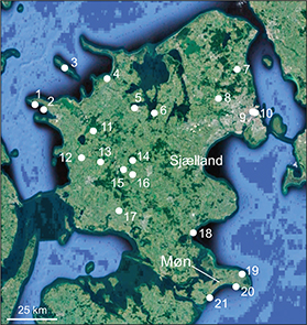 Fig 4 Google Earth image of Sjælland and Møn showing localities mentioned in the text. 1: Slettenshage. 2: Skambæks Mølle. 3: Sejerø. 4: Høve. 5: Holbæk. 6: Ejby. 7: Nebbegaard. 8: Måløv. 9: Trianglen. 10: the former Free Port in Copenhagen. 11: Holmstrup. 12: Høng. 13: Nordrup. 14: Gyrstinge. 15: Bjernede. 16: Fjenneslev. 17: Førslevgaard. 18: Strandegaards Dyrehave. 19: Stubberup Have. 20: Kobbelgård/Klintholm. 21: Hjelm Nakke.