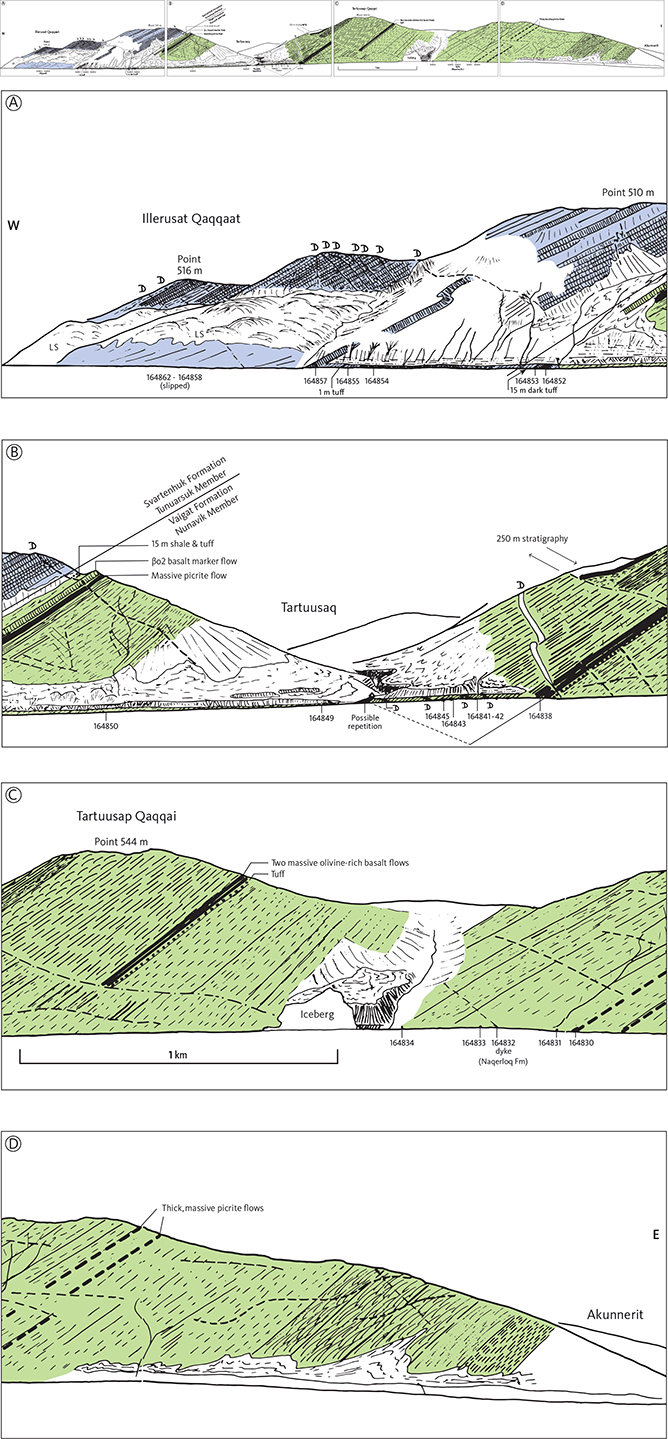 Fig. 16 Section along the south coast of Svartenhuk Halvø from Illerusat Qaqqaat to Akunnerit. Location in Fig. 8. The four panels should be read from west to east in the succession A, B, C and D. The faulted lava flows dip 30–40°SW. C and D show c. 2 km of unfaulted succession between the iceberg and Akunnerit, which is the thickest unfaulted succession encountered in the Vaigat Formation, without exposed top and base. Groups of thin pahoehoe flows are shown with different bed-parallel hatchings, massive picrite flows are black and massive basalt flows vertically hatched. βo2 is a mapped basalt marker flow near the top of the Vaigat Formation. Note the thick shale and tuff at the boundary between the Vaigat and Svartenhuk Formations. The thickest dykes are indicated by Ds. LS: landslide. Samples along the shore are indicated; analyses are in Supplementary file S4. Hand traced from colour slides projected onto a screen and therefore not with constant horizontal and vertical scales.