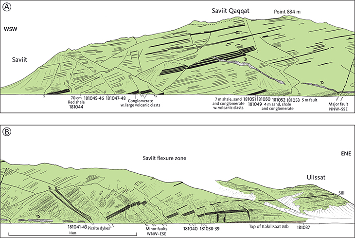 Fig. 17 Section along the south coast of Svartenhuk Halvø from Saviit to Ulissat. Location in Fig. 8. A: western part. B: eastern part. The succession comprises the lower part of the Nunavik Member. The top of the underlying Kakilisaat Member is just exposed on the shore in B. Panel B contains a cross section of the large flexure zone (here called the Saviit flexure zone) that runs NNW–SSE across the peninsula (Fig. 6) and was described in detail by Larsen & Pulvertaft (2000, p. 27–28). East of the flexure zone, the lava flows are nearly horizontal; within the zone, a series of WNW–ESE strike-slip faults with block rotation have resulted in westerly dips increasing towards the west to more than 40°WSW. West of the flexure zone, the lava flows are faulted but dip fairly regularly only 10–15°WSW. The WNW–ESE faults are near-vertical but appear here to be inclined towards ENE, which is an effect of the topography and the direction of view. The total offset produced by the faulting is impossible to calculate because of the lithological uniformity of the Nunavik Member and lack of reliable marker horizons. Groups of thin pahoehoe flows are shown with bed-parallel hatching, and massive picrite flows are black. The thickest dykes are indicated by Ds. Samples and observations along the shore are indicated; analyses are in Supplementary file S4. Hand traced from colour slides projected onto a screen and therefore not with constant horizontal and vertical scales.