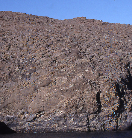 Fig. 25 Pillow breccia with abundant, up to metre-sized pillows, pillow fragments and lava fragments in a glass-rich matrix. Kakilisaat Member, eastern south coast of Svartenhuk Halvø near Maniiseqqut. Height of the vertical part of the cliff c. 15 m. Photo: Asger Ken Pedersen.