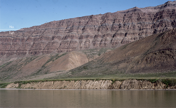 Fig. 44 Yellow and dark grey sediments of the Kuugaartorfik Member dipping west, well exposed in the 8 m high coastal cliff on the north side of the Innerit inlet on the peninsula of the same name. The lava succession in the mountain wall above the sediments belongs to the Tunuarsuk (Tun) and Nuuit (Nu) Members. Profile 37 (Fig. 13) was taken along the shoulder of the wall, which leads up to the 894 m high Nuup Qaava mountain. Photo: Asger Ken Pedersen.