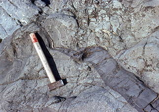 Fig. 68 Fine-grained, dark grey vein cutting the Arfertuarsuk trachyte flow. East side of the northern end of the Arfertuarsuk inlet. Length of hammer 45 cm. Photo: Karl Aage Jørgensen.