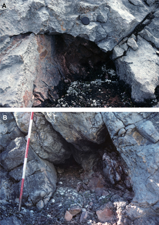 Fig. 7 Examples of quadrate phreatic conduits (A, B) developed within subtidal limestones of the Cape Weber Formation (Tremadocian–Floian, Lower Ordovician) infilled with Devonian conglomerates of the Vilddal Group (Middle Devonian) that mainly comprise blocks of red-stained Ordovician carbonates in a clastic matrix; the eastern end of Albert Heim Bjerge adjacent to Wordie Gletscher (Fig. 3). Divisions on the survey pole are 20 cm, and lens cap is 7 cm.