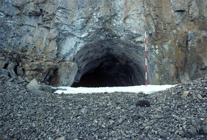 Fig. 12 Phreatic tube in the basal Kap Jackson Formation (Sandbian, Late Ordovician) in south-eastern Freuchen Land, central North Greenland, at the southern end of Navarana Fjord (Figs 1, 8). The cave is one of several at this stratigraphic horizon at the locality and currently represents the most northerly documented cave. All penetrate for 5–7 m before terminating in a silt or ice choke. Divisions on the survey pole are 20 cm.