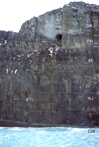 Fig. 13 Large, truncated cave conduit in the 700 m high wall of Nordenskiöld Fjord, central North Greenland (Figs 1, 8), with fine-grained fill weathering out of the entrance; the conduit is around 30 m wide and is located immediately above the Djævlekløften – Petermann Halvø Formation boundary, within a carbonate mound. AF: Aleqatsiaq Fjord Formation. CW: Cape Webster Formation. DK: Djævlekløften Formation. KJ: Kap Jackson Formation. PH: Petermann Halvø Formation. m: carbonate mounds of the Djævlekløften Formation. See Fig. 4 for unit ages.