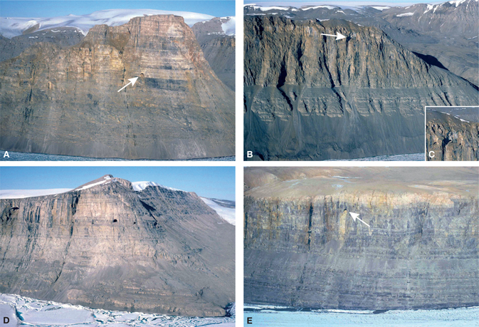 Fig. 15 Caves exposed in fjord walls incised by outlet glaciers from the Greenland ice sheet in Warming Land and Nyeboe Land, North Greenland. A: Cave entrance (WaL8) at the base of the Petermann Halvø Formation (Llandovery, Silurian) where it overlies the Aleqatsiaq Fjord Formation in eastern Warming Land (Figs 1, 8). Cliff is 900 m high, and the cave entrance is c. 20 m wide. B: Multiple cave entrances (arrowed; WaL9) within Djævlekløften Formation, 11 km to SSW of Fig. 14A, where a phreatic network has been transected by glacial erosion. Cliff is 800 m high, and entrances are less than 10 m in diameter. C: Enlargement of multiple entrances seen arrowed in B. D: Multiple cave entrances (NL11) developed in the Djævlekløften Formation exposed in a cliff in south-eastern Nyeboe Land, western North Greenland (Fig. 1). Cliff is 1100 m high from fjord to summit, and the larger entrance is 30 m wide. E: Cave NL2 in south-western Nyeboe Land in cliff bordering the glacier at the head of Newman Bugt. The cave is located in the upper Aleqatsiaq Fjord Formation and the cliff is 650 m high from glacier to plateau edge. The entrance is around 15 m wide, and the wash of fine sediment indicates that there is intermittent water flow through the cave. Photos: Niels Henriksen (A, NH-1985-c-008-018; B, C, NH-1985-c-008-0115; D, NH-1985-c-011-033; E, NH-1984-c-008-034).