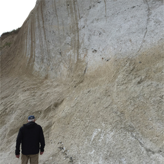 Fig 5 Upper Cretaceous chalk at Hvideklint. Note the occurrence of nodular flint in the chalk.