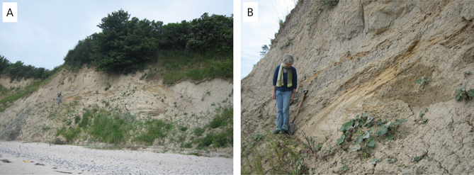 Fig 7 Refolded beds of Hvideklint units. A: The position of the overturned syncline in the Hvideklint coastal cliff. B: Close-up of the overturned syncline with the heterolithic beds of the Kobbelgård and Stubberup Have formations.