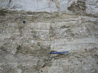 Fig 8 Chalk-tectonite formed along the décollement zone below the displaced thrust sheet of HK4 (see Fig. 2). Note that a tectonite is the tectonic breccia below the displaced thrust sheet, in contrast to a glacitectonite, which is the tectonic breccia formed underneath the inferred former ice base.