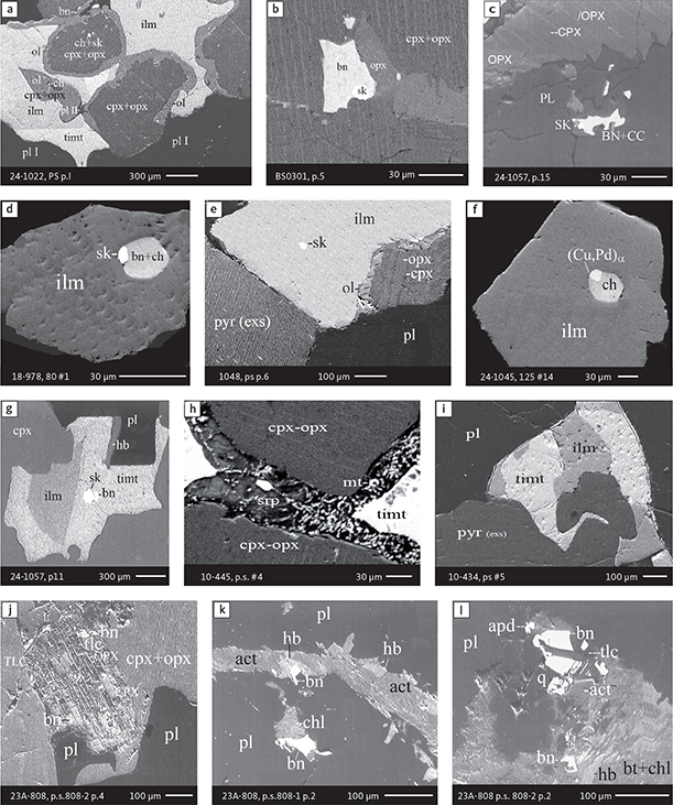 Fig. 6 Backscattered electron (BSE) images of the petrographic relations between rock-forming silicates, oxides, sulphides and PGE phases in polished thin sections (panels a–c, e, g–l) and polished monolayer thin sections of HS concentrates (panels d, f). a–g: samples from the central part of the intrusion (drill cores 90-18, 90-24 and ToF). h–l: samples from more marginal parts of the intrusion (drill cores 90-10 and 90-23A). Abbreviated names of minerals, compounds and alloys are as follows: bn and BN: bornite. ch and cc: chalcocite. cpx and CPX: clinopyroxene. opx and OPX: orthopyroxene. Pyr (exs): сpx-opx exsolution. pl and PL: plagioclase (includes pl I with An38–42; and pl II with An82). timt: titaniferous magnetite. ilm: ilmenite. ol: olivine. mt: magnetite. hb: hornblende. act: actinolite. bt: biotite. q: quartz. srp: serpentine. Tlc and TLC: talc. chl: chlorite. Sk and SK: skaergaardite. (Cu,Pd)α: Pd-Cu alloy. apd: arsenopalladinite. Grain numbers and scales included in the images. Table 3 provides standard formulae for the precious metal minerals. Formulae for common rock-forming minerals and base metal sulphides are found in Appendix 1.