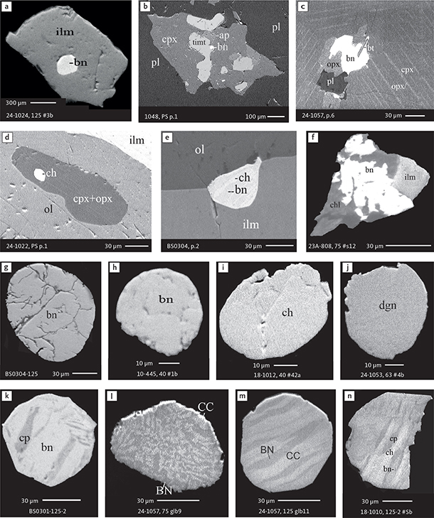 Fig. 7 BSE images of sulphides. Panels a–e are polished thin sections of gabbroic host. Panels f–n are polished monolayer thin sections of heavy mineral HS concentrates. Images include samples from the central part of the intrusion (a–e, g–n), and one sample from the marginal part of the intrusion (f). Note exsolution textures in panels k–n. Abbreviated names of minerals, compounds and alloys are as follows: bn and BN: bornite. ch and CC: chalcocite. cp: chalcopyrite. dgn: digenite. cpx: clinopyroxene. opx: orthopyroxene. pl: plagioclase. ol: olivine. timt: titaniferous magnetite. ilm: ilmenite. ap: apatite. bt: biotite. chl: chlorite. Grain numbers and scales included in the images. Table 3 provides formulae for the precious metal minerals. Formulae for common rock-forming minerals and base metal sulphides are found in Appendix 1.