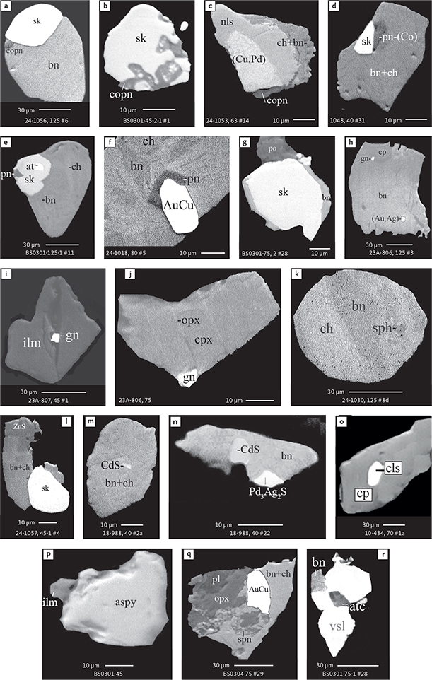 Fig. 8 BSE images of rare minerals in polished monolayer thin sections. Table 3 provides formulae for the precious metal minerals. Formulae for common rock-forming minerals and base metal sulphides are found in Appendix 1 . Formulae are given here for rare minerals that are not listed in Table 3 or Appendix 1. Abbreviated names of minerals, compounds and alloys are as follows: copn and pn-(Co): cobaltian pentlandite (panels a–d). pn: pentlandite (panels e–f). po: hexagonal pyrrhotite (panel g). gn: galena (panels h–j). sph: sphalerite (panel k). ZnS: sphalerite (panel l). CdS: greenockite/hawleyite (panels m, n). cls: clausthalite (PbSe) (panel o). aspy: arsenopyrite (panel p). spn: thiospinel group, carrollite (Cu(Co,Fe,Ni) 2 S 4 ) (panel q). atc: atacamite (Cu 2 Cl(OH) 3 ) (panel r). sk: skaergaardite (panels a, b, e, g, l). (Cu,Pd): Cu-Pd alloy (panel c). nls: nielsenite (PdCu 3 ) (panel c). at: atokite (Pd 3 Sn) (panel e). AuCu: tetra-auricupride (panels f, q). (Au,Ag): native gold (panel h). Pd 3 Ag 2 S: coldwellite (panel n). vsl: vasilite ((Pd,Cu) 16 S 7 ) (panel r). bn: bornite. ch: chalcocite. cp: chalcopyrite (panels h, o). cpx: clinopyroxene (panel j). opx: orthopyroxene (panels j, q). pl: plagioclase (panel q). ilm: ilmenite (panels i, p). sk: skaergaardite (panel l). Grain numbers and scales included in the images.