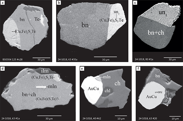 Fig. 9 BSE images of sulphides from the Au-rich Pd1/Au horizon in the central part of the intrusion. Polished monolayer thin sections of the heavy mineral HS concentrates. Table 3 provides formulae for the precious metal minerals. Formulae for common rock-forming minerals and base metal sulphides are found in Appendix 1. Formulae are given here for rare minerals that are not listed in Table 3 and Appendix 1. Abbreviated names of minerals, compounds and alloys are as follows: bn: bornite. ch: chalcocite. mln: melonite ((Ni,Pd)Te2). Te: native tellurium. orc: orcelite (Ni5-xAs2). un1: unnamed compound (Cu,Fe)3TeS2. ilm: ilmenite. chl: chlorite. Grain numbers and scales included in the images.