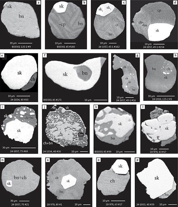 Fig. 16 BSE images showing the petrographic relations between skaergaardite and Cu-Fe sulphides in polished monolayer thin sections of HS concentrates. Table 3 provides formulae for the precious metal minerals. Formulae for common rock-forming minerals and base metal sulphides are found in Appendix 1. Note the multitude of relations from crystals of skaergaardite in centres as well as at margins of sulphide droplets, to a wide range of exsolution textures, and to tiny, disseminated droplets of skaergaardite throughout complex Cu-Fe sulphide grains. Abbreviated names of minerals, compounds and alloys are as follows: sk: skaergaardite including sk1: (PdCu)) and sk2: (Pd,Au)Cu). bn: bornite; ch: chalcocite. cp: chalcopyrite. Sample numbers and scales included in the images.