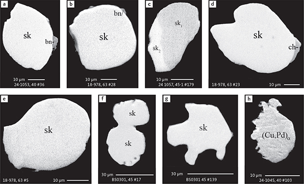 Fig. 18 BSE images of free grains of Cu and Pd minerals in polished monolayer thin sections of HS concentrates. The rounded grains may be droplets or grains formed during exsolution in sulphide (E. Makovicky, pers. comm. 2008). Note the grain in panel f, which appears to have formed by amalgamation of two individual grains. Abbreviated names of minerals, compounds and alloys are as follows: sk: skaergaardite (PdCu) including sk1: (PdCu)) and sk2: ((Pd,Au)Cu). (Cu,Pd)α: unnamed alloy. ch: chalcocite. bn: bornite. Table 3 provides formulae for the precious metal minerals. Formulae for common rock-forming minerals and base metal sulphides are found in Appendix 1. Grain numbers and scales included in the images.