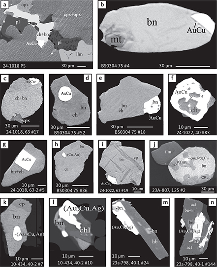 Fig. 23 BSE images showing the petrographic relations between (Au,Cu) phases and rock-forming minerals of the gabbroic host and sulphides. a: polished thin section of gabbro with interstitial sulphide and tetra-auricupride (AuCu). b–n: polished monolayer thin sections of HS concentrates. Panels a–i are from samples in the central part of the intrusion, and j–n are from samples near the margins of the intrusion. Table 3 provides formulae for the precious metal minerals. Formulae for common rock-forming minerals and base metal sulphides are found in Appendix 1. Grain numbers and scales included in the images. Abbreviated names of minerals, compounds and alloys are as follows: AuCu: tetra-auricupride. (Cu,Au), (Au,Cu,Ag): alloys of Au, Cu and Ag. (Au,Pd)3Cu: unnamed Au3Cu. kt: kotulskite (PdTe). bn: bornite. ch: chalcocite. cp and CP: chalcopyrite. opx: orthopyroxene. cpx: clinopyroxene. pl: plagioclase. ilm: ilmenite. hb: hornblende. act: actinolite. kth: keithconnite. mt: magnetite. chl: chlorite.