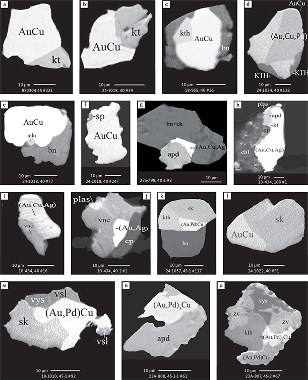 Fig. 26 BSE images of the petrographic relations between Au minerals and Cu minerals with PGEs in polished monolayer thin sections of the heavy mineral HS concentrates. The Au and Cu minerals are associated with virtually all other precious metal phases of the mineralisation. Table 3 provides formulae for the precious metal minerals. Formulae for common rock-forming minerals and base metal sulphides are found in Appendix 1. Grain numbers and scales included in the images. Abbreviated names of minerals, compounds and alloys are as follows: AuCu: tetra-auricupride. (Au,Pd)Cu: tetra-auricupride. (Au,Pd)3Cu: unnamed compound. (Au,Cu,Pd), (Au,Cu,Ag): alloys of Au, Cu, Pd and Ag. (Au,Ag): native gold. sk: skaergaardite (PdCu). kt: kotulskite (PdTe). kth and KTH: keithconnite (Pd3-xTe). mln: melonite (NiTe2). sp: sperrylite. apd: arsenopalladinite. plas: palladoarsenide. vnc: vincentite. vys: vysotskite. vsl: vasilite. zv: zvyagintsevite. bn: bornite. ch: chalcocite. cp: chalcopyrite. chl: chlorite.