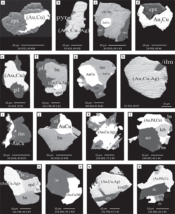 Fig. 27 Relationship between Au and Cu minerals and rock-forming minerals of the gabbroic host in polished monolayer thin sections of HS concentrates. Note that Au-Cu phases in general coexist with ‘dry’ parageneses in the centre of the intrusion (samples from drill cores 90-24 and 90-18, and bulk sample BS0304), and with hydrous silicate parageneses near the margins (samples from drill core 90-10 and 90-23A). Table 3 provides formulae for the precious metal minerals. Formulae for common rock-forming minerals and base metal sulphides are found in Appendix 1. Grain numbers and scales included in the images. Abbreviated names of minerals, compounds and alloys are as follows: AuCu: tetra-auricupride. (Au,Cu), (Au,Cu,Ag), (Au,Pd,Cu), (Au,Cu,Pd): alloys of Au, Cu, Pd and Ag. Au3Cu and (Au,Pd)3Cu: unnamed compounds. apd: arsenopalladinite (Pd8As3). zv: zvyagintsevite (Pd3Pb). kth: keithconnite (Pd3-xTe). kt: kotulskite (PdTe). cpx: clinopyroxene. opx: orthopyroxene. pyr: pyroxene. pl: plagioclase. ol: olivine. ilm: ilmenite. hb: hornblende. act: actinolite. bt: biotite. chl: chlorite. tlc: talc. bn: bornite. ch: chalcocite. dgn: digenite.