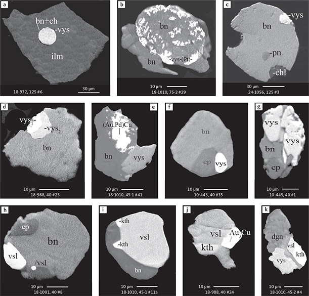 Fig. 28 BSE images of vysotskite and vasilite in polished monolayer thin sections of HS concentrates. The precious metal sulphides form as exsolutions in sulphide droplets, as exsolutions on the margins of sulphide globules and as irregular grains intergrown with other precious metal phases. Table 3 provides formulae for the precious metal minerals. Formulae for common rock-forming minerals and base metal sulphides are found in Appendix 1. Grain numbers and scales included in the images. Abbreviations: vys: vysotskite, including Pd-rich vys1 and Pt-rich vys2. vys-(Pt): vysotskite with no Pt. vsl: vasilite. kth: keithconnite. (Au,Pd)Cu: tetra-auricupride. Au3Cu: unnamed compound. bn: bornite. ch: chalcocite. cp: chalcopyrite. dgn: digenite. pn: pentlandite. ilm: ilmenite. chl: chlorite.