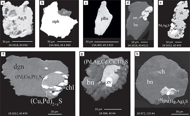 Fig. 29 BSE images of rare PGE sulphides in polished monolayer thin sections of HS concentrates. All phases are rare and some are found only as single grains. Table 3 provides formulae for the precious metal minerals. Formulae for common rock-forming minerals and base metal sulphides are found in Appendix 1. Formulae are given here for rare minerals that are not listed in Table 3 or Appendix 1. Abbreviated names of minerals, compounds and alloys are as follows: AuCu: tetra-auricupride. Ag2S: acanthite/argentite. stph: stephanite (Ag5SbS4). plbs: polybasite (Ag16Sb2S11). Pd3Ag2S: coldwellite. sk: skaergaardite. un3: unnamed compounds, including (Pd3Cu6S3Te2), (Pd,Hg,Ag)2S, (Cu,Pd)2-xS, (Pd,Cu,Pt)3S2 and (Pd,Ag,Cd,Cu,Tl)4S. zv: zvyagintsevite. vys: vysotskite. bn: bornite. ch: chalcocite. dgn: digenite. act: acanthite. chl: chlorite. Grain numbers and scales included in the images.