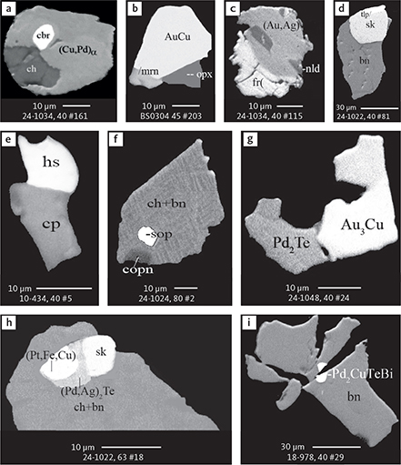 Fig. 31 BSE images of rare intermetallic compounds of precious metals in polished monolayer thin sections of HS concentrates. The rare occurrence of these phases illustrates parageneses buffered by very localised geochemical conditions. Table 3 provides formulae for the precious metal minerals. Formulae for common rock-forming minerals and base metal sulphides are found in Appendix 1. Formulae are given here for rare minerals that are not listed in Table 3 or Appendix 1. Abbreviated names of minerals, compounds and alloys are as follows: cbr: cabriite (Pd2CuSn). mrn: merenskyite (PdTe2). nld: naldrettite (Pd2(Sb,Sn)). tlp: telargpalite ((Pd, Ag)3Te). hs: hessite (Ag2Te). sop: sopcheite (Ag4Pd3Te4). fr: froodite (PdBi2). Pd2Te, (Pd,Ag)2Te and Pd2CuTeBi: unnamed compounds. sk: skaergaardite. AuCu: tetra auricupride. (Cu,Pd)α: unnamed compound. (Au,Ag): native gold. Au3Cu: unnamed compond. (Pt,Fe,Cu): alloy of Pt, Fe and Cu. bn: bornite. cp: chalcopyrite. copn: cobaltian pentlandite. ch: chalcocite. opx: orthopyroxene. Grain numbers and scales included in the images.