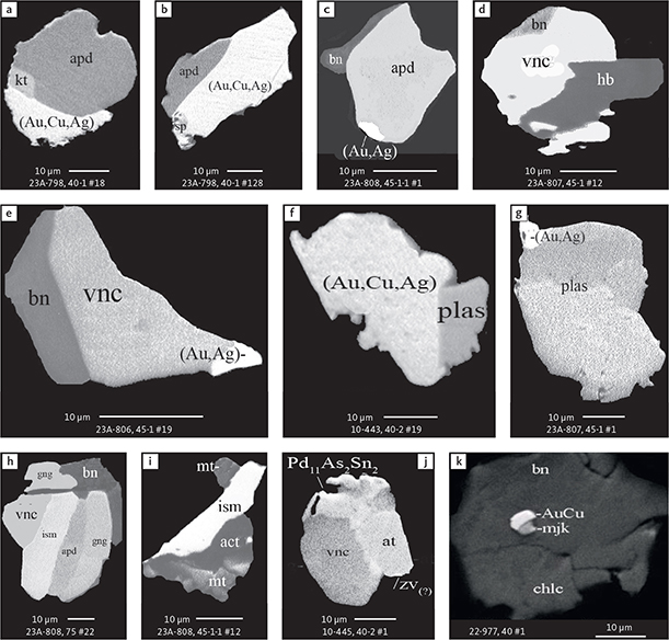 Fig. 32 BSE images of PGE arsenides in polished monolayer thin sections of HS concentrates. As for the intermetallic compounds (see text and Fig. 31), arsenides are related to a wide range of precious metal phases and sulphides, while local geochemical balances control the parageneses. Table 3 provides formulae for the precious metal minerals. Formulae for common rock-forming minerals and base metal sulphides are found in Appendix 1. Formulae are given here for rare minerals or compositional varieties that are not listed in Table 3 or Appendix 1. Abbreviated names of minerals, compounds and alloys are as follows: apd: arsenopalladinite/stillwaterite (Pd8As3). kt: kotulskite. sp: sperrylite. vnc: vincentite. gng: guanglinite (obsolete and renamed to vincentite). plas: palladoarsenide. ism: isomertiete (Pd11As2(Sb,Sn)2). mjk: majakite. zv: zvyagintsevite. at: atokite. Pd11As2Sn2: unnamed compound. AuCu: tetra-auricupride. (Au,Cu,Ag): alloys dominated by Au and Cu. (Au,Ag): native gold. bn: bornite. chlc: chalcocite. hb: hornblende. act: actinolite. mt: magnetite. Grain numbers and scales included in the images.