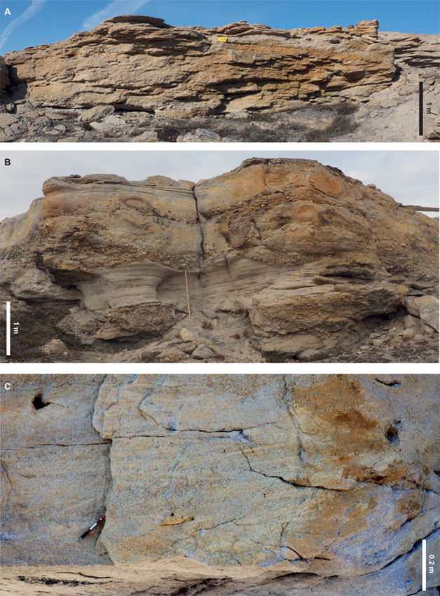 Fig. 5 Photographs illustrating the facies of the Bastians Dal Formation. (A) Large-scale cross-bedded conglomerates displaying low-angle truncation surfaces and bar-top relief (c. 69 m, Fig. 4). (B) Trough cross-bedded conglomerates with sharply erosive bases mantled with pebble (c. 115 m, Fig. 4). (C) Cross-bedded sandstones. Clear alternations of coarser-and finer-grained foresets can be observed, as well as voids, where coalified wood was once present (c. 103.5 m, Fig. 4).