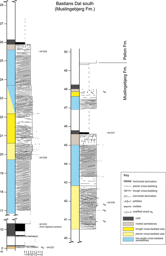 Fig. 8 Sedimentological log through the Muslingebjerg Formation in southern Bastians Dal. Here, the succession is greatly expanded by the occurrence of shallow-marine sandstones. Location and position of the log in Figs 2 and 3B. Samples collected from these sections are numbered to the right of the logs.