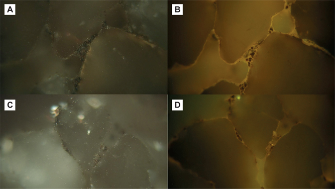 Fig. 12 Photomicrographs of sandstone sample 541229. Width of field approximately 300 μm. (A and C) Rounded quartz grains, pore surfaces lined with patchy, thin coatings of bitumen and carbonate cement. (B) Same field as A. Fluorescence-inducing blue light. (D) Same field as C. Fluorescence-inducing blue light. Pore-throats show accumulations of clay and dull brownish-fluorescing bitumen and other organic particles. Pores are lined by a thin carbonate cement (yellow fluorescence).