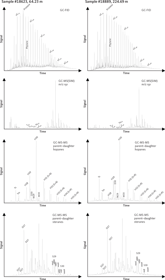 Fig. 10 Biological marker data from the Brorson Halvø-1 borehole. Characteristic fingerprints of samples representing the upper (sample #18623, 64.23 m, lower Volgian) and lower (sample #18889, 224.69 m, Kimmeridgian) parts of the drilled succession. GC-MS-MS parent–daughter traces for steranes and hopanes represent the sum of five and nine parent–daughter transitions, respectively.