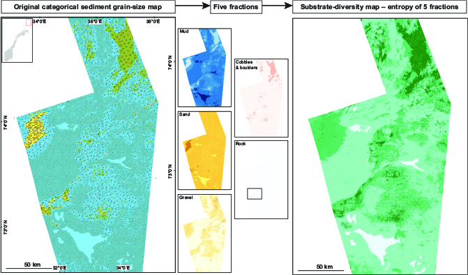Fig 4 Example showing how Geological Survey of Norway (NGU)’s sediment grain size map may be converted to five component fractions (mud, sand, gravel, cobbles, and boulders and rock), where darker colours indicate higher percentage content. Note that in this figure, rock is only non-zero within the black box where it occurs very locally (few pixels only). A preliminary substrate diversity map is computed from these fractions using the entropy between the five fractions; darker colours indicate higher diversity. In the sediment grain-size map, blue shades indicate mud-rich sediments, yellow indicates sandy sediments and green indicates coarser mixed sediments. The full legend is available at www.ngu.no/Mareano/Grainsize.html and in Supplementary File S1.